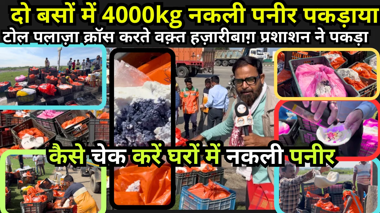 दो बसों में 4000kg नकली पनीर पकड़ाया ! टोल पलाज़ा क्रॉस करते वक़्त हज़ारीबाग़ प्रशाशन ने पकड़ा